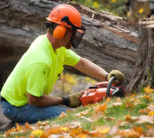 tree services Brevard